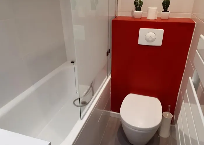 Paquebot Des Neiges Aime 2000 Hotel *